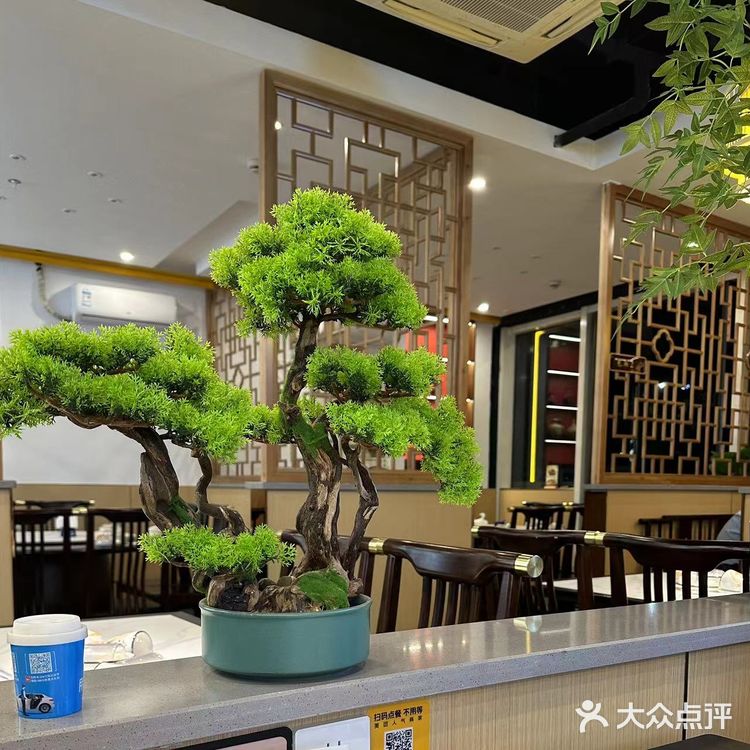 今天的美食探店之旅