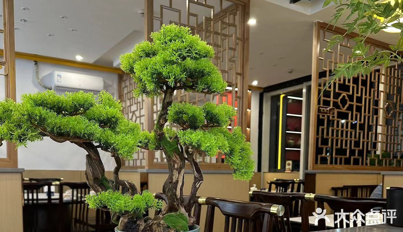 今天的美食探店之旅