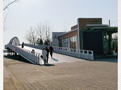 -大兴滨河森林公园