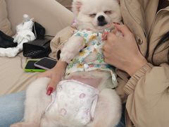 -怪兽屋·羊驼·猫咖·狗咖(俊华广场店)