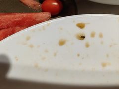 -杨氏青龙虾·羊蝎子(托乐嘉店)