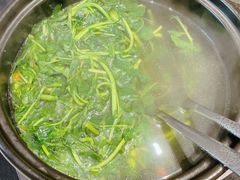 泉水枸杞苗-逸道(益丰·外滩源店)