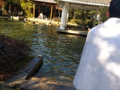 -深业半汤御泉庄温泉