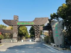 -溱湖国家湿地公园