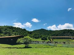 -大水川景区