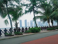 -万绿园