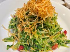 巧拌豆苗-四季民福烤鸭店(西单华威约饭街店)