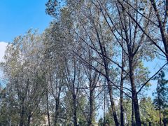 -杭州电子科技大学(下沙校区)