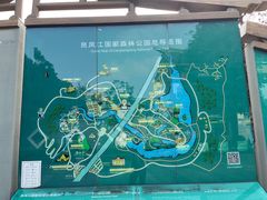 -南宁良凤江国家森林公园