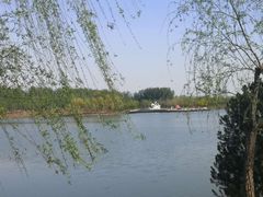 -东郊湿地公园