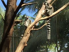 -可伦宾野生动物保护区