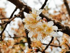 -白塘生态植物园