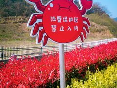 -东海半边山旅游度假区