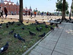-谢尔盖圣三一大修道院