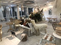 -共舞时光猫咖·狗咖(新街口店)