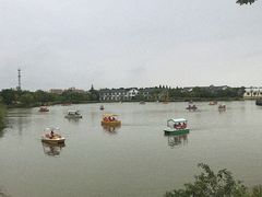 -上海长兴岛郊野公园