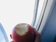 -东海航空行政办公楼