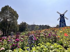 -铁山坪森林公园