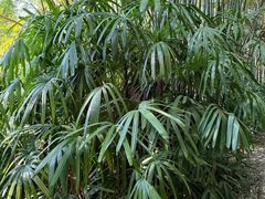 -人民公园(罗湖区)