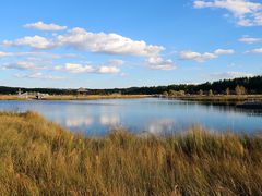 -塞罕坝国家级自然保护区