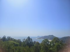-广东惠东海龟国家级自然保护区