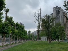 -龙头寺公园