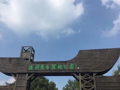 -溱湖国家湿地公园