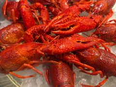 -红盔甲·小龙虾(车公庙店)