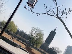 -西海子公园