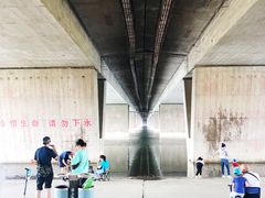 -绿堤公园
