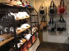 -猫咪博物馆(顶澳仔猫街店)