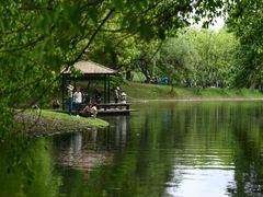 -上海共青森林公园