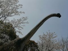 -自然谷恐龙园