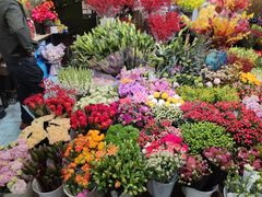 -双季花艺园艺市场(浦东店)