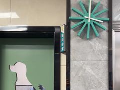 -半岛宠物医院24小时(白果林店)