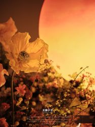 -美薇亭婚礼顾问