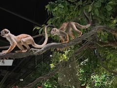 -武汉园博园(武汉自然博物馆)