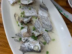 带鱼-食海部落