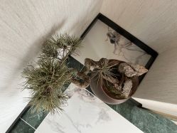 -铂诗玥医美