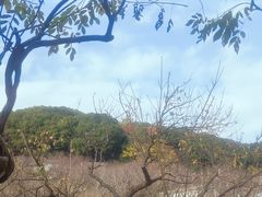 -苏州上方山国家森林公园