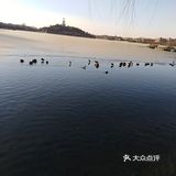 带着你的父母孩子快快来吧