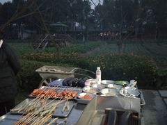 -洪湖家庭农场·团建·露营·会议