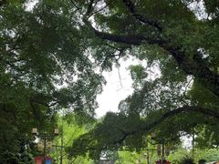 -桂林独秀峰王城景区