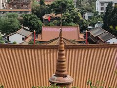 -昆明动物园
