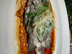 -川味里•商务宴请•团建聚餐(清湖店)