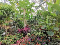 -北京植物园-展览温室