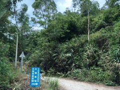 -天强农家菜馆