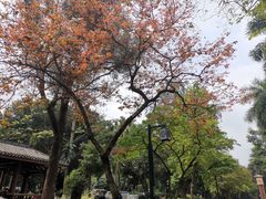 -南宁南湖公园