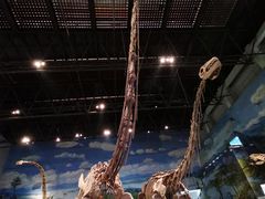 -自贡恐龙博物馆