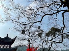 -涂山寺素食餐厅